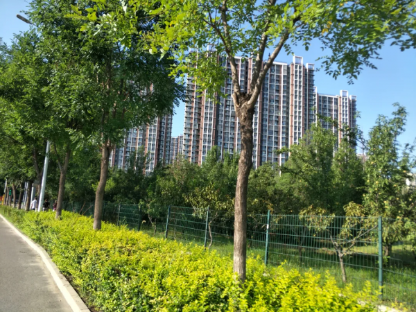 設立北京證券交易所，樓市股市之爭再起