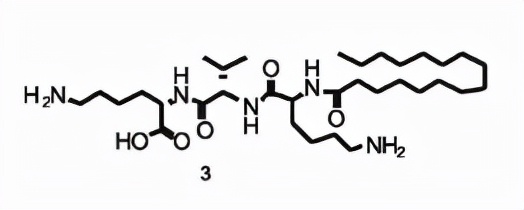 美容護膚多肽 |棕櫚醯三肽－5