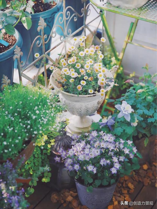 5平米的陽臺，改造之後種滿了花，居然可以美成這樣