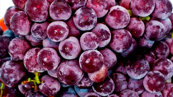 夏吃瓜秋吃果,8種“秋果”要多吃,滋陰潤肺,應季而食降秋燥 夏吃瓜秋吃果,8種“秋果”要多吃,滋陰潤肺,應季而食降秋燥