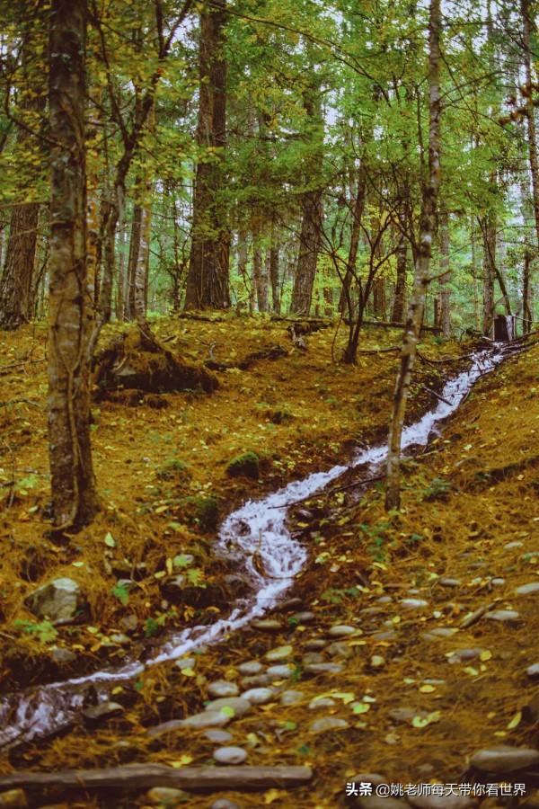 探訪冰川、峽谷徒步，睡在松贊新店，開啟一場自然大冒險