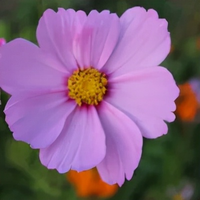 X唄套現?魚兒上鉤了! X唄套現?魚兒上鉤了!