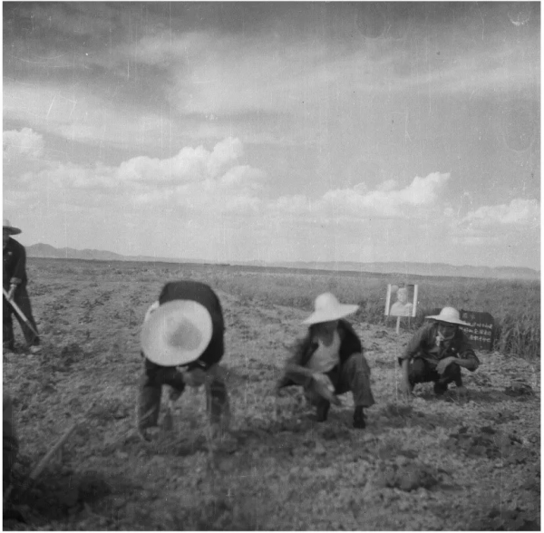 饑荒年代的土豆“大會餐”丨老照片裡的“兩彈一星”故事