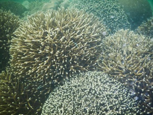 10年深度+豪華遊玩60國