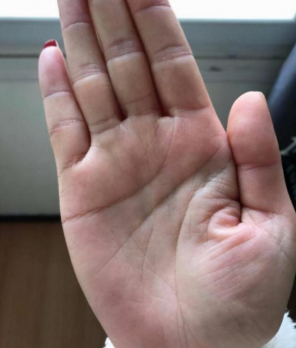 俗語:“掌中川字紋,富貴不離身”是啥意思?掌紋中藏著哪些秘密 俗語:“掌中川字紋,富貴不離身”是啥意思?掌紋中藏著哪些秘密