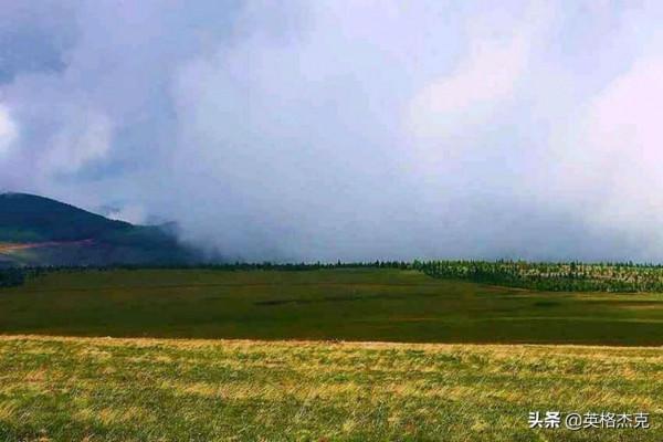 河北“空中草原”景觀,綠草如茵、野花遍地,海拔高達2158米 河北“空中草原”景觀,綠草如茵、野花遍地,海拔高達2158米