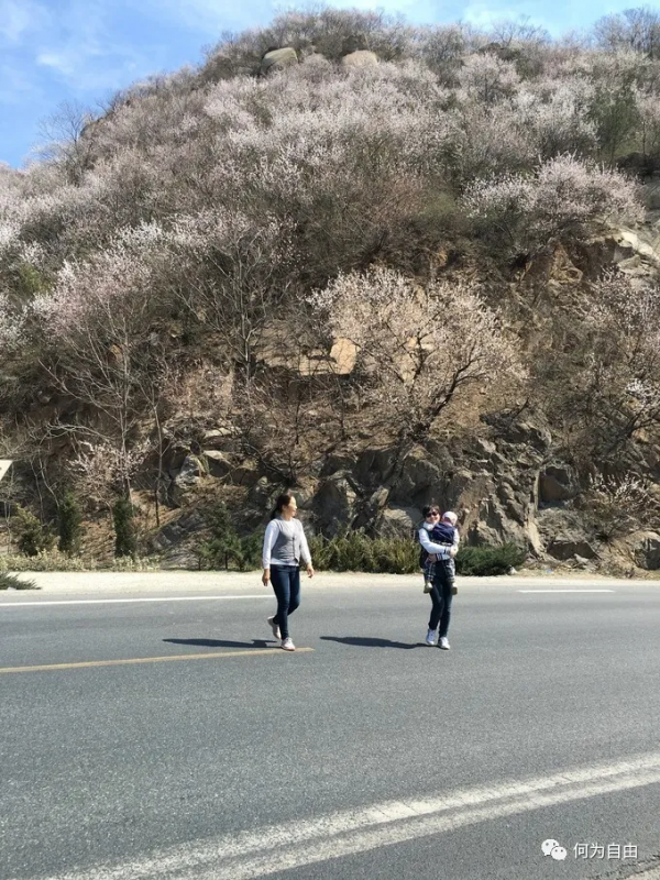 水淨沙黃霞滿天-官廳水庫&amp;彰縣影視城2日遊