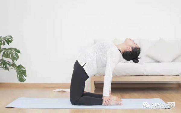 腰痠背痛…試試瑜伽「駱駝式」，讓你挺直腰板做人