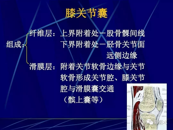 86張全身關節應用解剖精講，這篇文章值得收藏