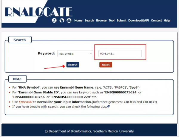 如何預測lncRNA亞細胞定位？3個預測工具“一鍵式”幫您輕鬆搞定