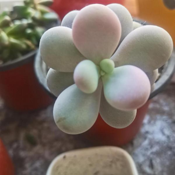 生活就是自己找樂趣