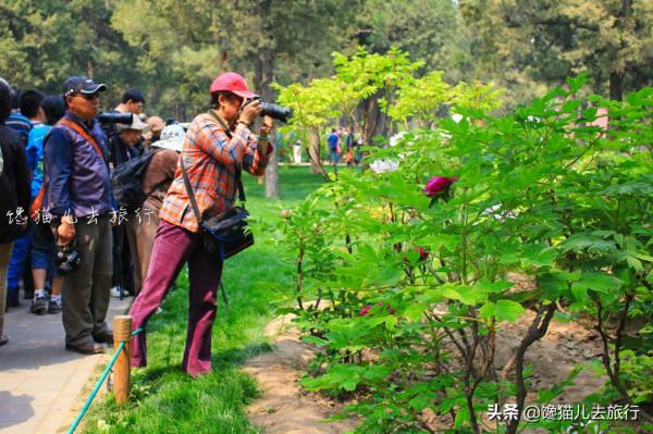北京公園年票能去17個公園，包括兩個5A級景區和九個4A級景區