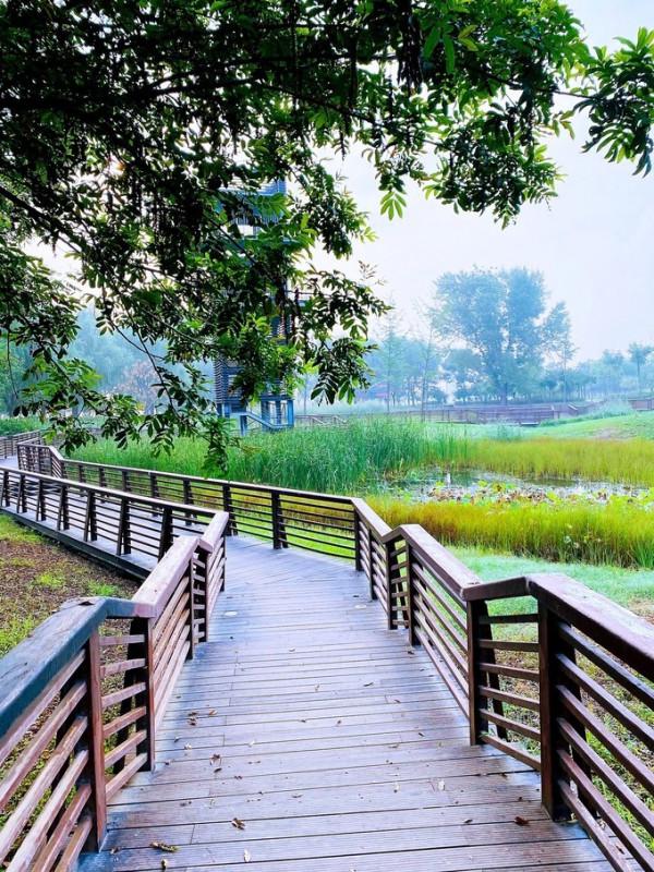 庫爾勒 更是現代化的一座 新城 庫爾勒 更是現代化的一座 新城