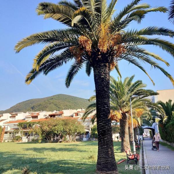 回憶2018：巴爾幹半島自由行之二 黑山