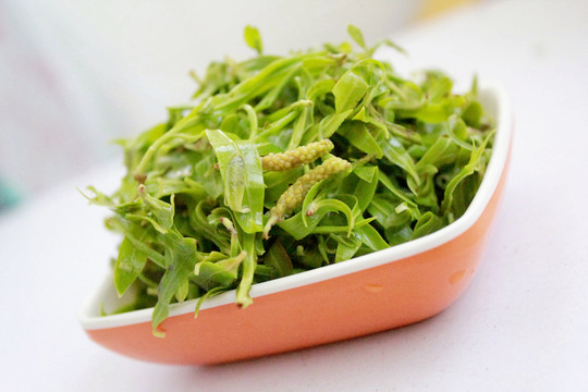 不同季節的樹上蔬菜，空閒時間採回來，換口味又安全