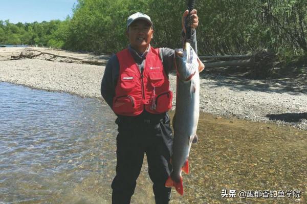 大魚的警惕性高,大魚對魚餌哪些方面敏感?降低大魚警惕性的技巧 大魚的警惕性高,大魚對魚餌哪些方面敏感?降低大魚警惕性的技巧