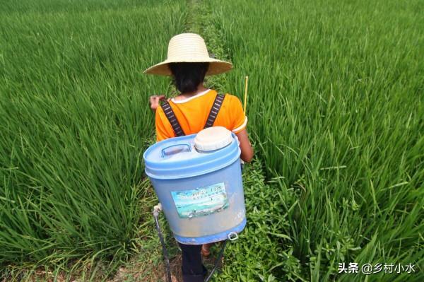 除草劑上午噴好還是下午噴好？這樣判斷，錯不了