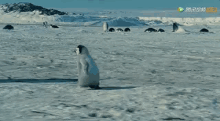 跑步高手遵循的跑步規則