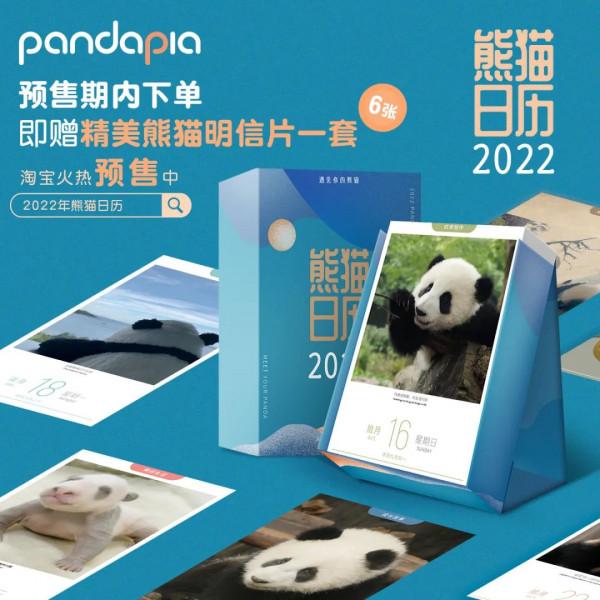 國寶測評！小熊牌枕頭到底有多軟