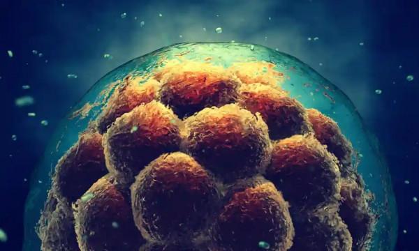 40年後，一個孩子可能有多個父母！未來學家為何會這樣預言？