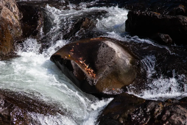 長白山旁望天鵝 - 那個殘破的火山口