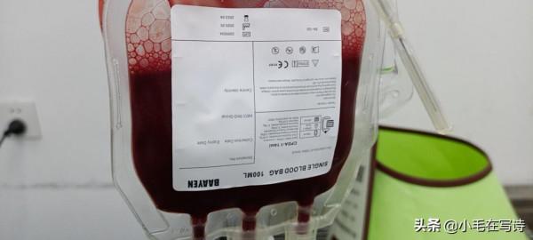 狗還能獻血?需要驗血型嗎? 狗還能獻血?需要驗血型嗎?