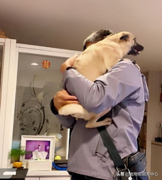 狗狗蹲坐在門口等爸爸4小時，爸爸一回家秒變嚶嚶怪：我好想你