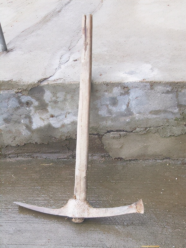 啊!我魂牽夢繞的蘭陵五中!老師們在學校裡分樹根和分豬頭 啊!我魂牽夢繞的蘭陵五中!老師們在學校裡分樹根和分豬頭