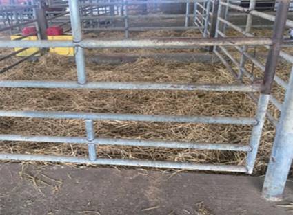 寒冬時節,奶牛牧場如何安全越冬? 寒冬時節,奶牛牧場如何安全越冬?