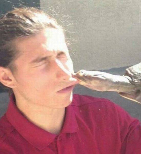 1891歲大樹的年輪，大象推翻汽車，喜鵲騎著白頭鷹，鬣狗飼養員