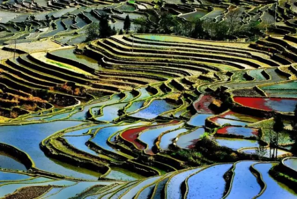 適合自駕的11個地方,你最想去哪個? 適合自駕的11個地方,你最想去哪個?