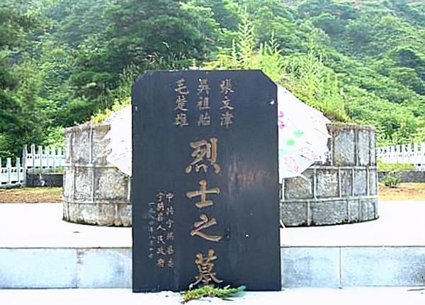 王震率領部隊南下時,一個少年找到他,說我是毛主席的侄子 王震率領部隊南下時,一個少年找到他,說我是毛主席的侄子