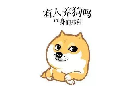 單身貴族越來越多，現在的年輕人為什麼不想結婚？