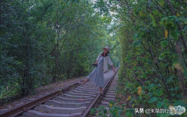 共賞皖美中秋月，2天時間去發現肥東不一樣的風景