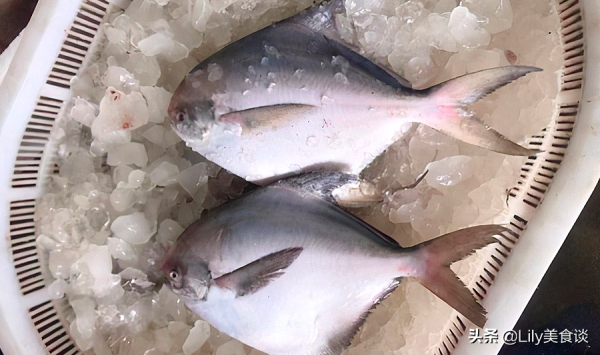 快過年了，這6種魚可以提前囤了，無法人工養殖，省錢好吃寓意好