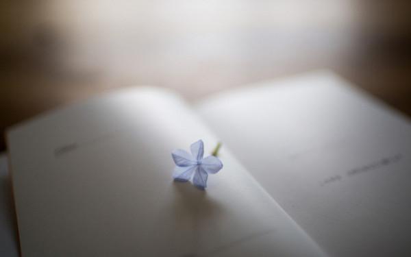 6分鐘讀完《必然》：如何在日新月異的世界，找到發展的趨勢