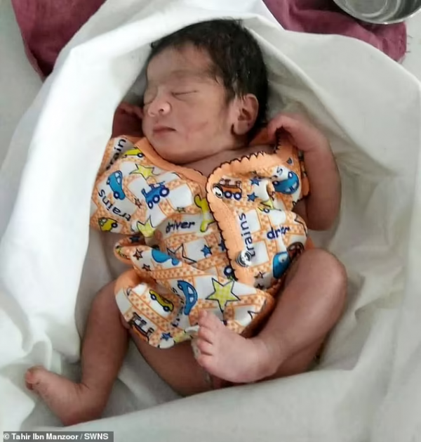 印度女嬰冬夜誕生在田野中遭遺棄，狗群為其保暖直到次日獲救