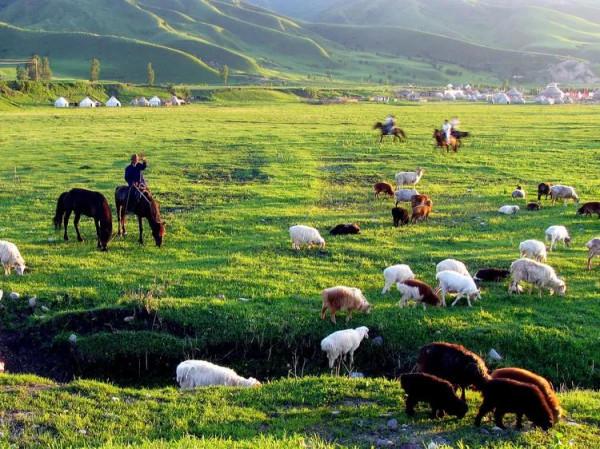 新疆那拉提草原風光 新疆那拉提草原風光