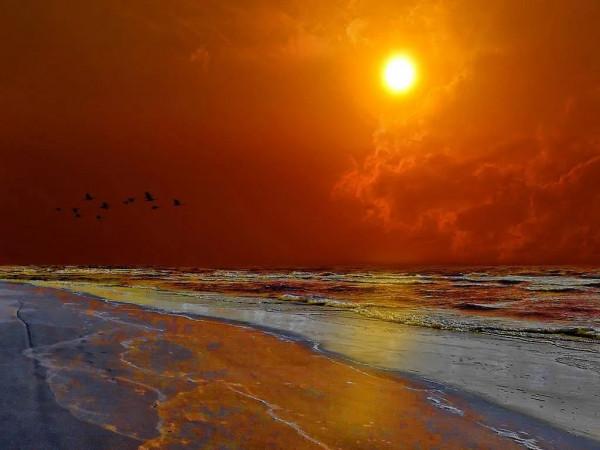 海洋的景色，真美