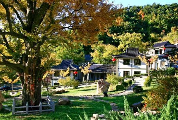 講真！今天出遊最明智，不堵！且為您選好了路線……