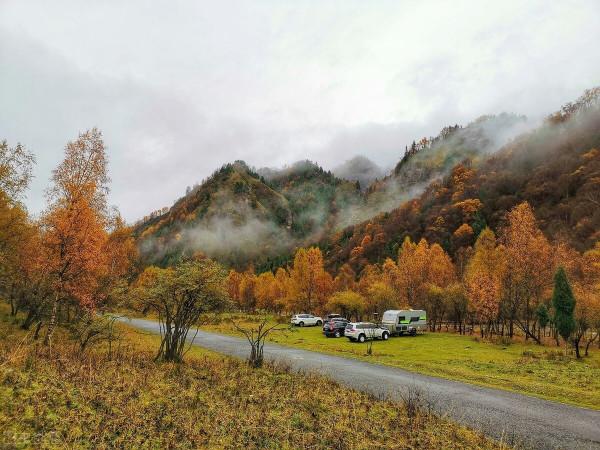 這樣的秋天你見過嗎？