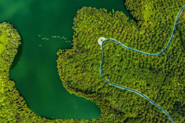 人間四月天，在坪山眼見皆美好