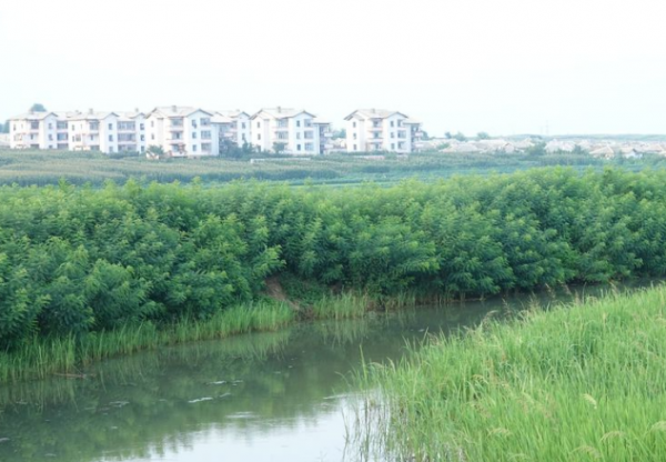 朝鮮觀察，朝鮮國營農場百姓的日常生活