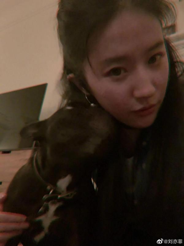 凌仙閣—劉亦菲