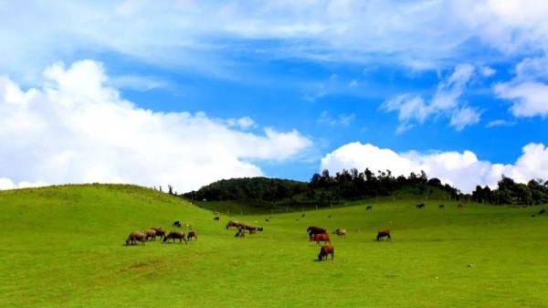 七夕 | 來自七彩雲南的一封情書 七夕 | 來自七彩雲南的一封情書