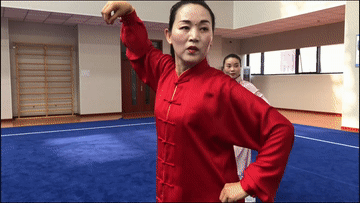 風靡全球的“動物流”,中國千年以前就有 風靡全球的“動物流”,中國千年以前就有