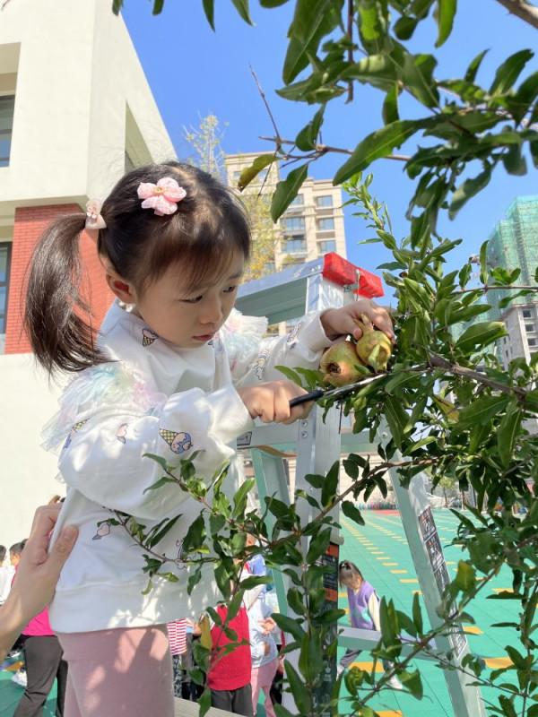 快樂採摘 收穫滿滿 快樂採摘 收穫滿滿