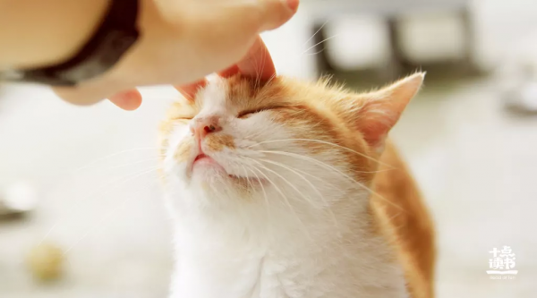 到了一定年紀，就會明白這12個道理