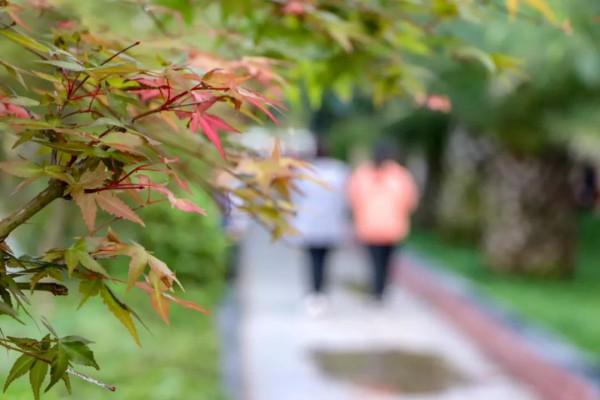 魅力旺蒼 | 今日之美 魅力旺蒼 | 今日之美
