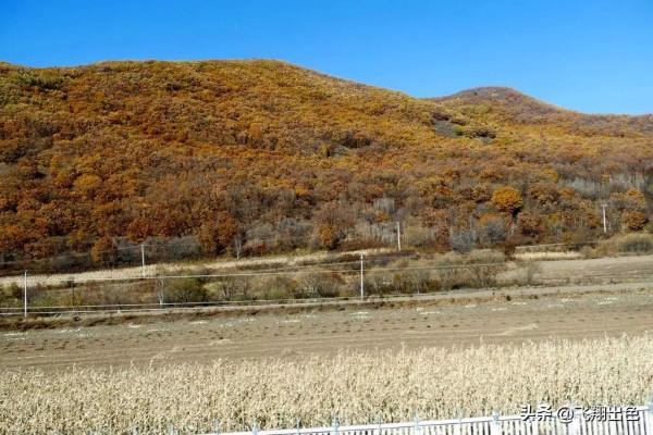 北國第4站丨我用一堆相片告訴你，綏芬河的深秋是怎樣的